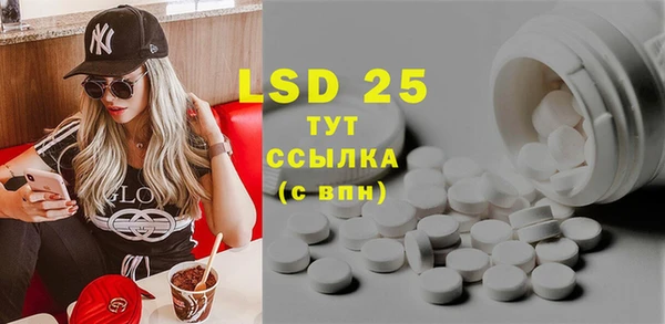 сатива Новозыбков
