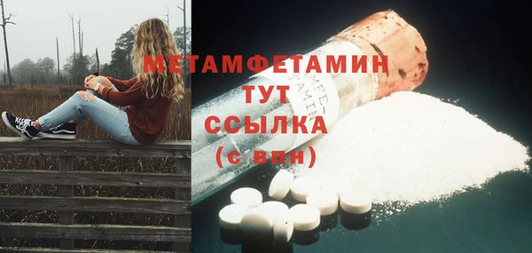 сатива Новозыбков
