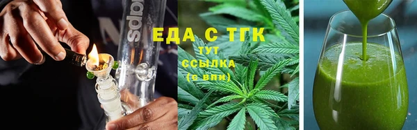 сатива Новозыбков