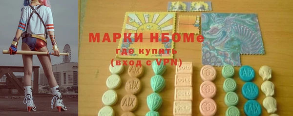 сатива Новозыбков