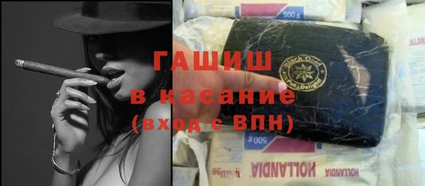 сатива Новозыбков