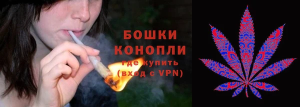 ГАЛЛЮЦИНОГЕННЫЕ ГРИБЫ Новодвинск