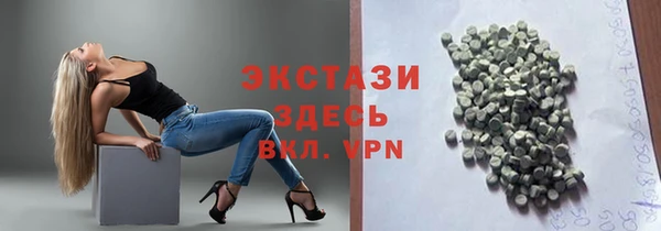 сатива Новозыбков