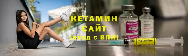 сатива Новозыбков