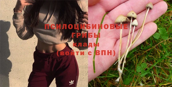 марки lsd Новокубанск