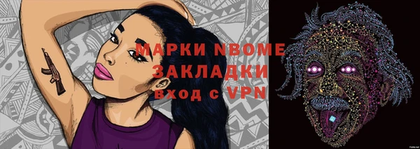сатива Новозыбков