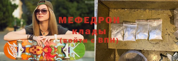 сатива Новозыбков