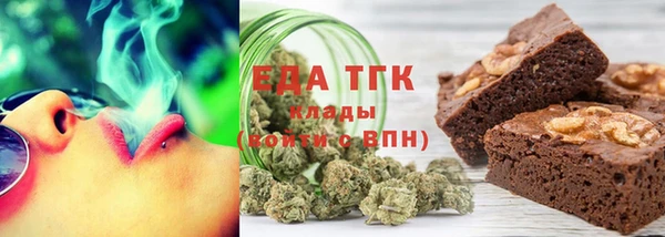 сатива Новозыбков