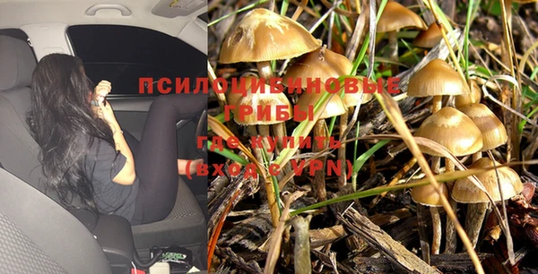 мдма Болотное