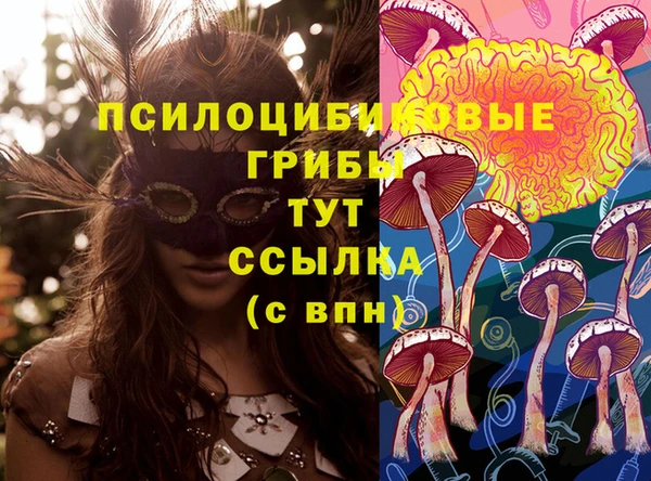 ГАЛЛЮЦИНОГЕННЫЕ ГРИБЫ Новодвинск