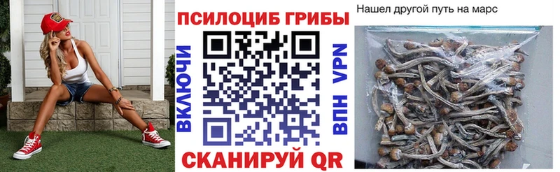Псилоцибиновые грибы Magic Shrooms  где можно купить наркотик  OMG ONION  Сурск 